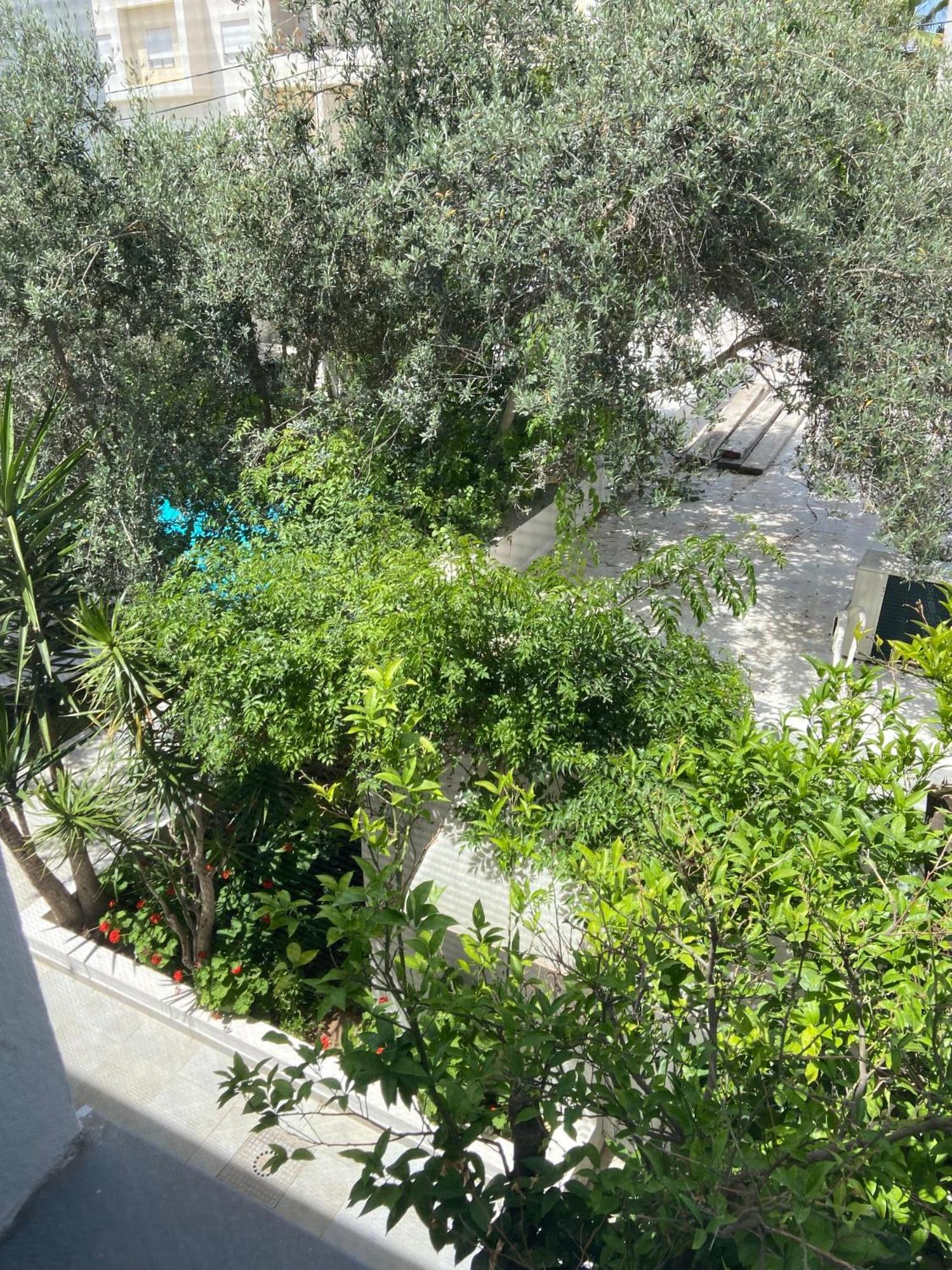 Hotel Dar Misk Sukrah Exterior foto